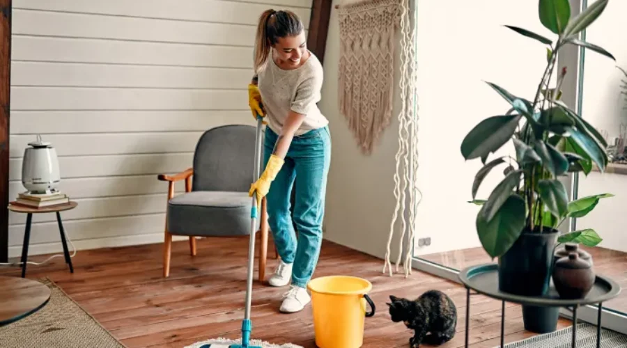 Household Top 5 Services You Can Find on EsyFinder