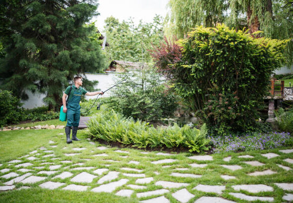 Oxizen Group Landscaping